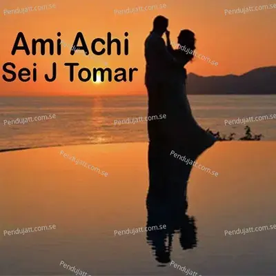 Aami Aachi Sei Je Tomar - Amit Dasgupta album cover 