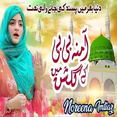 Amina Bibi K Gulshan Main - Noreena Imtiaz album cover 