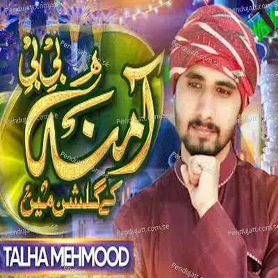 Amina Bibi Ke Gulshan Mein - Talha Mehmood album cover 