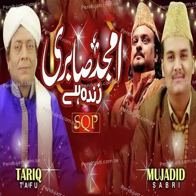 Amjad Sabri Zinda Hai - Tariq Tafu album cover 