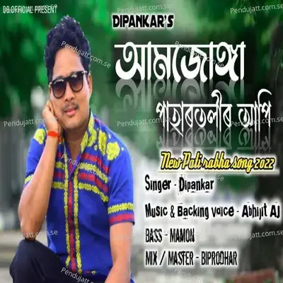 Amjonga Pahartolir Api - Dipankar Basumatary album cover 