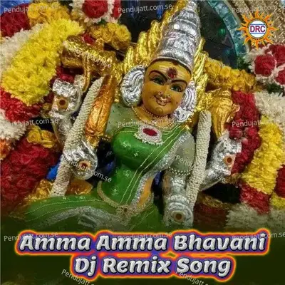 Amma Amma Bhavani - P.N. Lingaraju album cover 