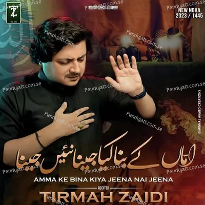 Amma Ke Bina Kiya Jeena Nai Jeena - Tirmah Zaidi album cover 