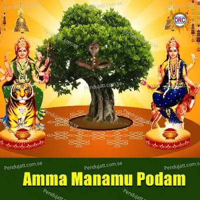 Amma Manamu Podam - Anil Kumar