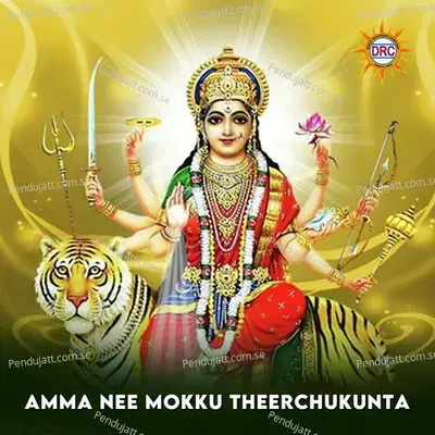 Amma Nee Mokku Theerchukunta - P.N. Lingaraju