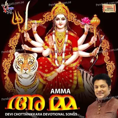 Amme Amme - Veena album cover 