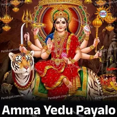 Amma Yedu Payalo - Warangal Shankar album cover 