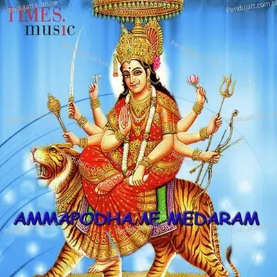 Ammapodhame Medaram - Anil Kumar cover album