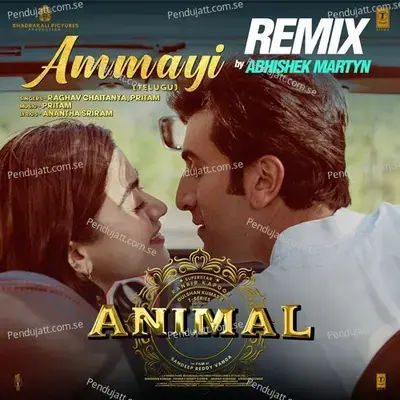 Ammayi Remix - Raghav Chaitanya album cover 