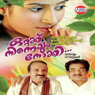 Sheriyethu Thettethu - Kallara Gopan album cover 