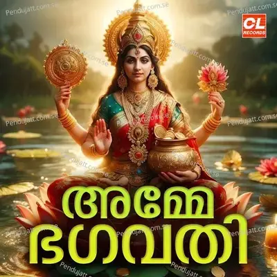 Ambalamaninadham - Pandalam Balan album cover 