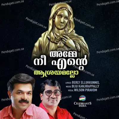 Amme Nee Ente Ashrayamallo - Wilson Piravom album cover 