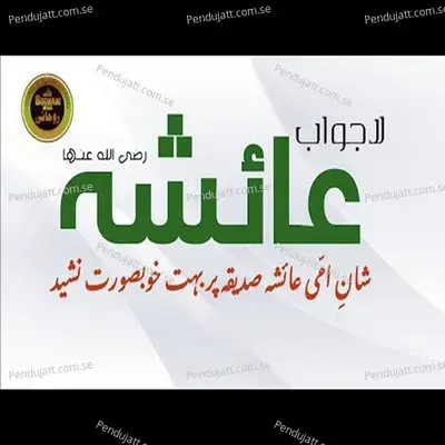 Ammi Ayesha - Saeed U Rehman Naqshbandi album cover 