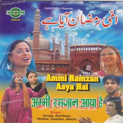 Mehshar Me Ye Roze Kaam Aayege - Anuja album cover 