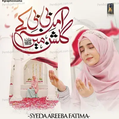 Amna Bibi Ke Gulshan Mein - Syeda Areeba Fatima album cover 