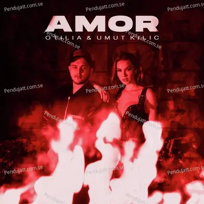 Amor - Otilia album cover 