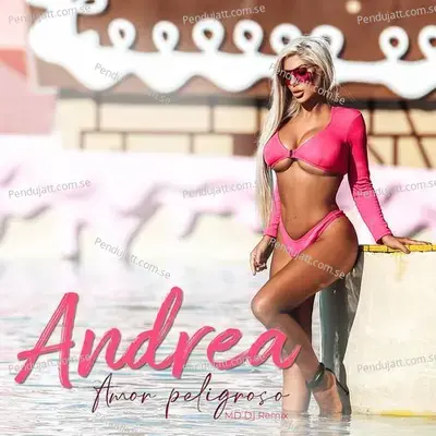 Amor Peligroso  Md Dj Remix  - Andrea