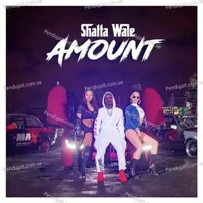 Amount - Shatta Wale