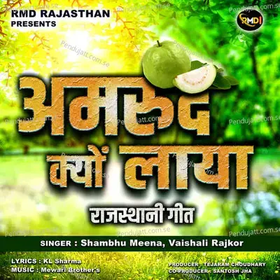 Amrud Kyo Laya - Shambhu Meena album cover 
