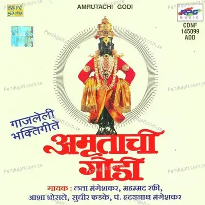 Nam Gau Nam Gheu - Anand Sawant album cover 