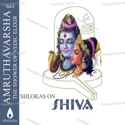 Vishwanaatha Ashtakam - Tushar Dutta album cover 