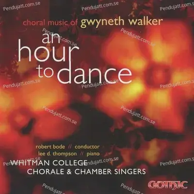 An Hour To Dance - Robert Bode
