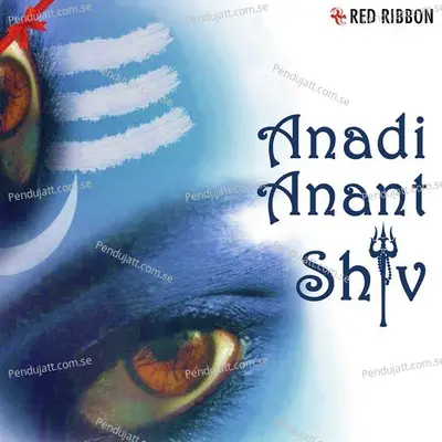 Manse Bhajo Bhole Ka Naam - Raghunath Dubey album cover 