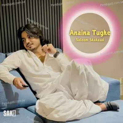 Anaina Tughe - Saleem Shahzad album cover 