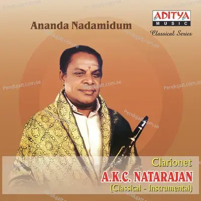 Venkatachala Nilayam - A.K.C. Natarajan album cover 