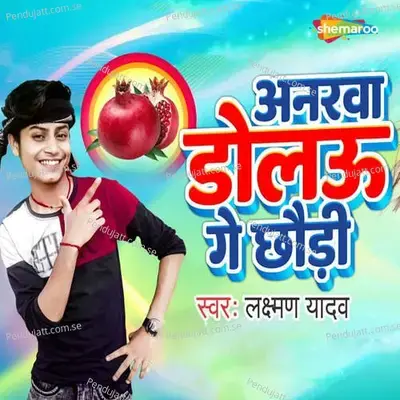 Anarwa Dolau Ge Chaudi - Laxman Yadav album cover 