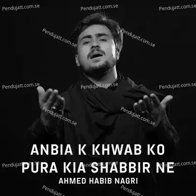 Anbia K Khwab Ko Pura Kia Shabbir Ne - Ahmed Habib Nagri album cover 