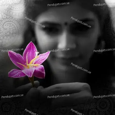 Anbin Thooral - Chinmayi Sripaada album cover 