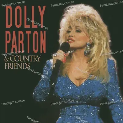 Youre My Perfect Reason - Dolly Parton album cover 