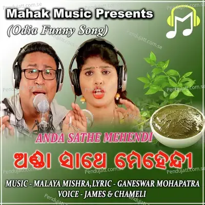 Anda Sathe Mehendi - James album cover 