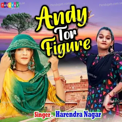 Andy Tor Figure - Harendra Nagar album cover 