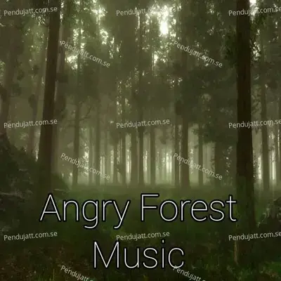 Angry Forest Music - Lakhan Hire cover album