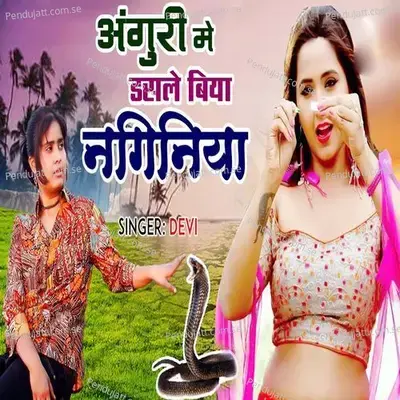 Anguri Mein Das Le Biya Naginiya - Devi album cover 