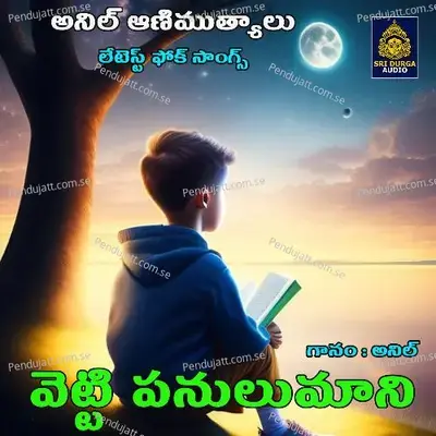 Anil Animuthyalu - Anil Kumar album cover 
