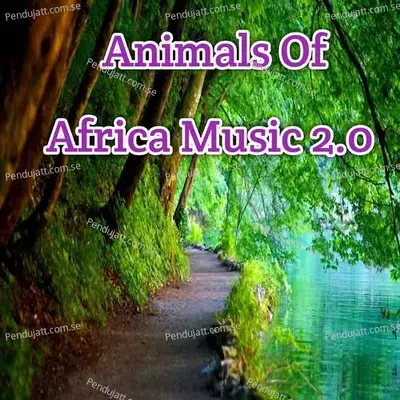 Animals Of Africa Music 2 0 - Lakhan Hire album cover 
