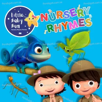 Animals That Camouflage - Little Baby Bum Nursery Rhyme Friends