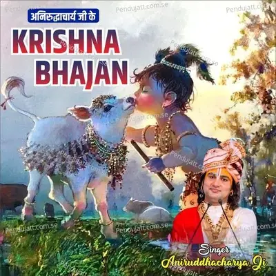 Jay Radhe Radhe Govind - Aniruddhacharya Ji album cover 