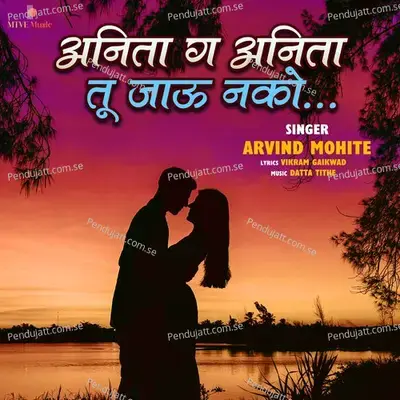 Anita G Anita Tu Jauo Nako - Arvind Mohite album cover 