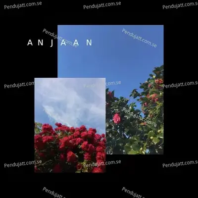 Anjaan - Jani album cover 