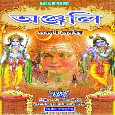 Bramha Aadi Kari - Anima Chaudhry album cover 