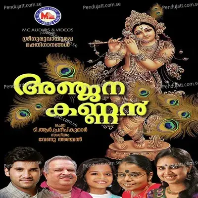 Vaikundaadhipane - Mridula Warrier album cover 