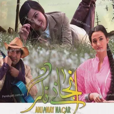 Anjanay Nagar Mann Manay Thay - Nayyara Noor album cover 