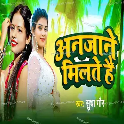 Anjane Milte Hai - Sudha Gaur
