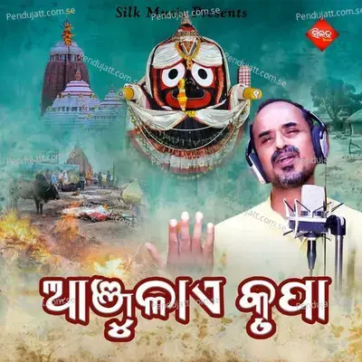 Anjulae Krupa - Pradeep Kumar album cover 