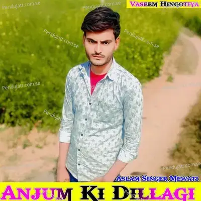 Anjum Ki Dillagi - Vaseem Hingotiya album cover 