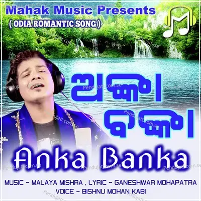 Anka Banka - Bishnu Mohan Kabi album cover 